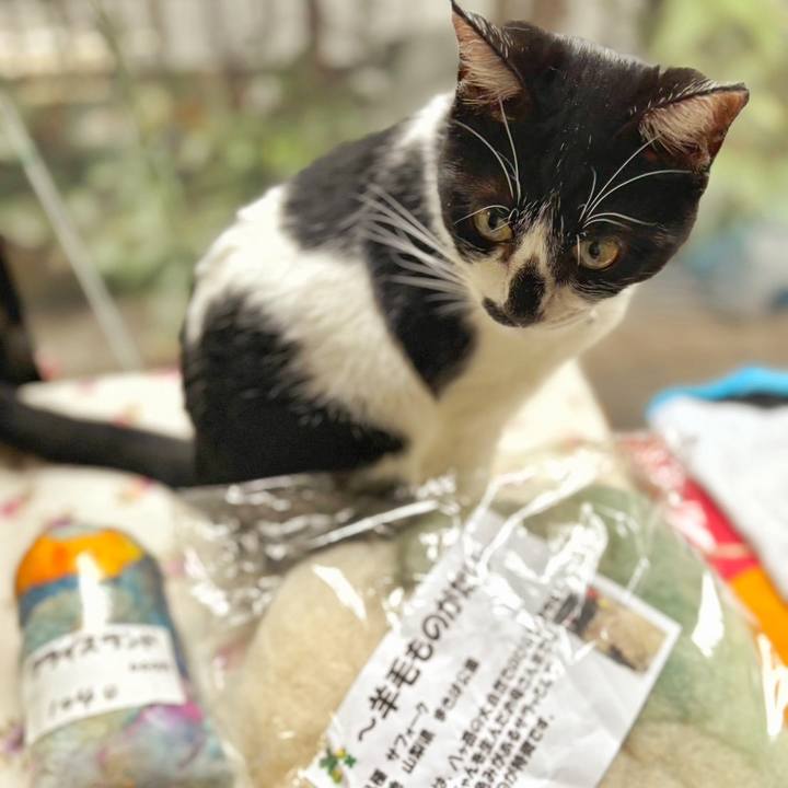 D2ca1d73 8fe6 4688 8c90 5da6892f1ba8 1759541277120