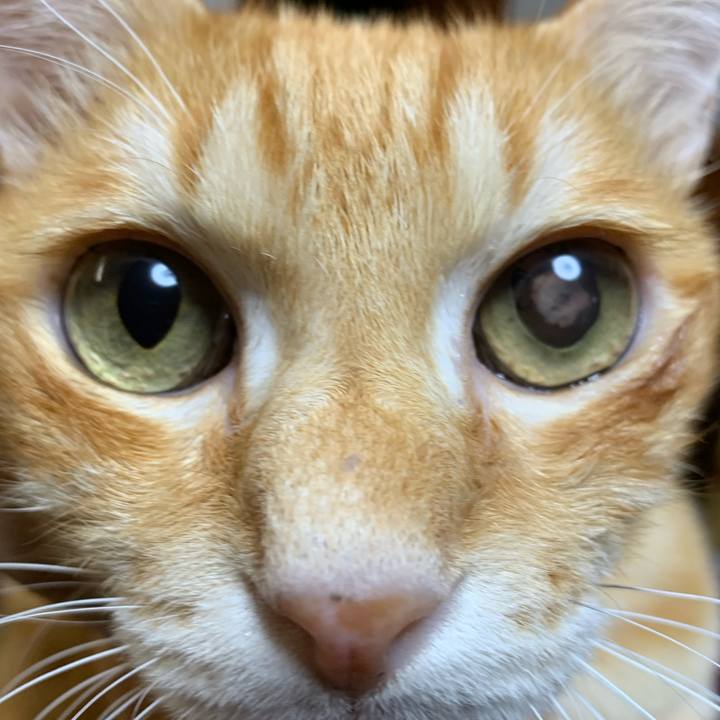 D2ca20a7 3073 42eb a862 af89cff11c89 1607952563968