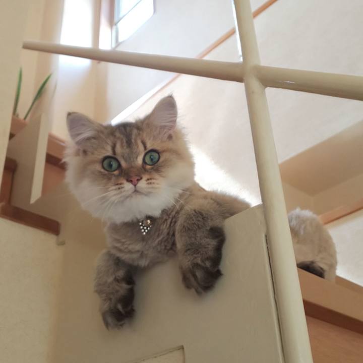 D2ca2e33 d92d 48fa bdc4 137667b18f21 1567254542612