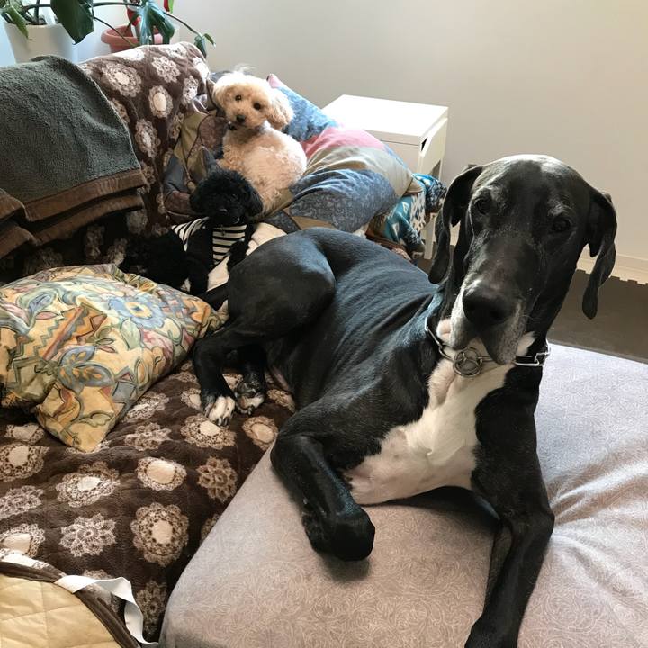 D2ca36fd 5868 4139 8cbb b174d9a382c3 1513206178080