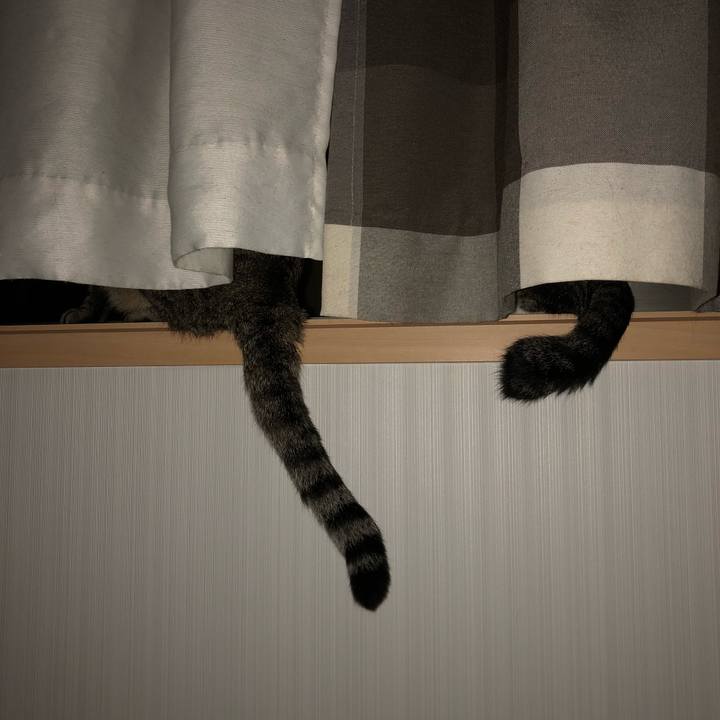 D2ca3858 0574 4ac0 adb5 14047c6925a6 1537560222053