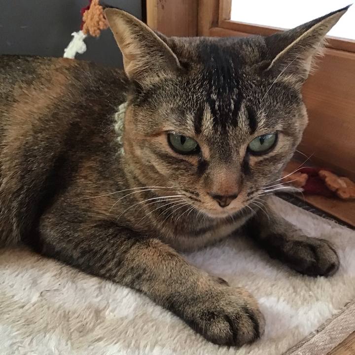 D2ca3a74 614f 4016 a9d0 0a60df8ba2f0 1646016482994