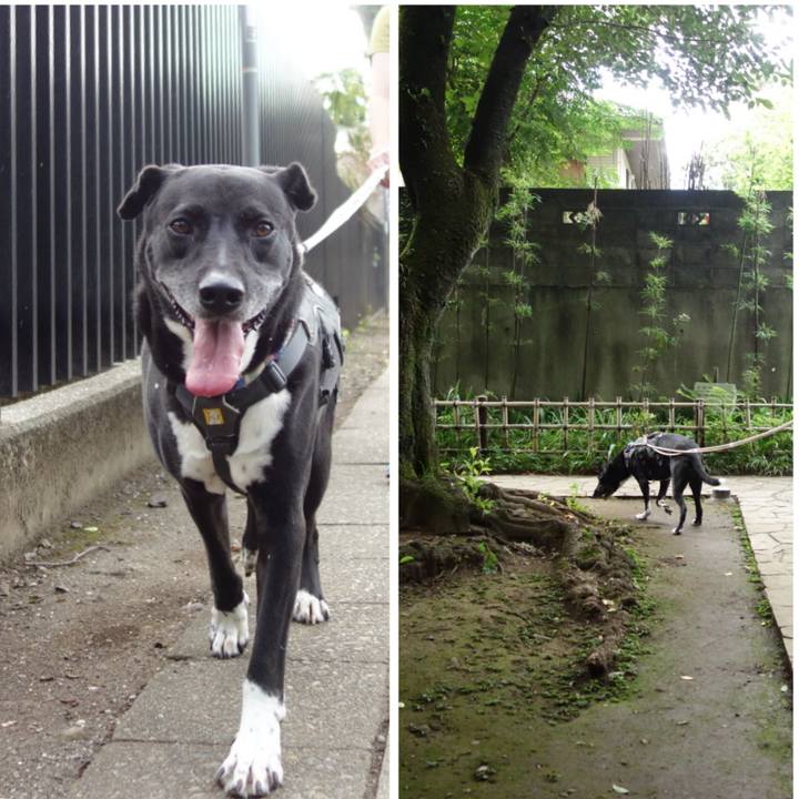 D2ca3ad7 0d4e 4c61 acf8 4f40fc874eaa 1657236083477