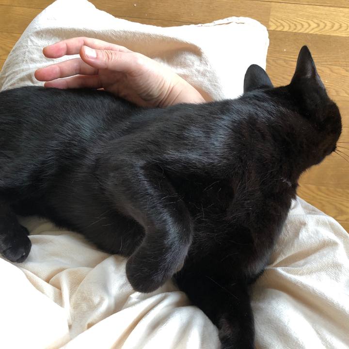 D2ca4386 19e3 4909 aa98 2d2a5b1983c1 1726365982365