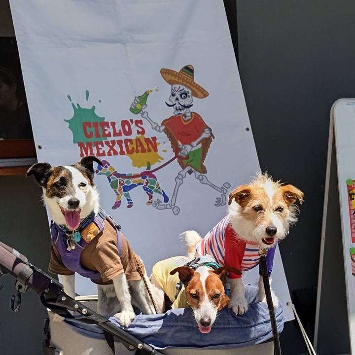 D2ca5360 0965 4d2b 849e dcfd5889abb2 1716017581304