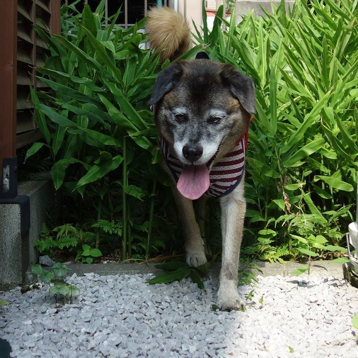 D2ca6f61 6e44 4bc2 a608 b4537b7f962a 1722862723561