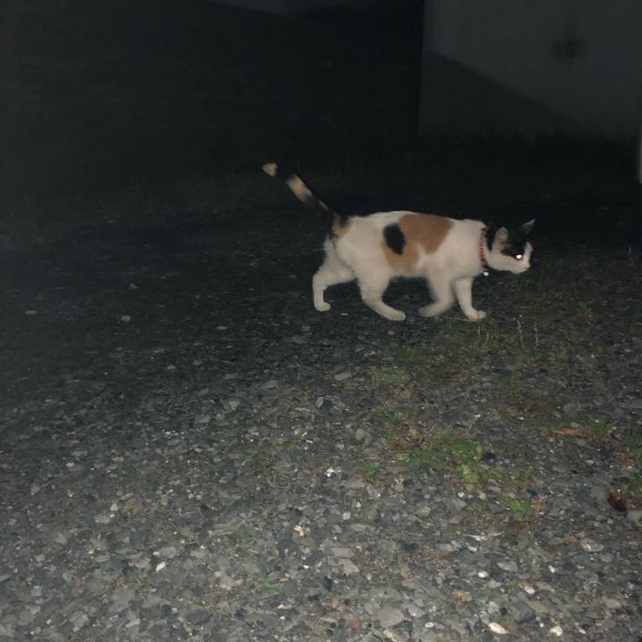 D2ca9254 2552 45be a436 a2e7a467a806 1623420377768