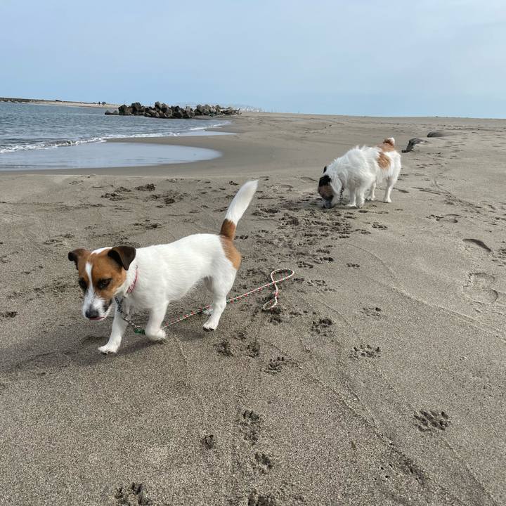 D2cab35e a167 4181 b054 6cbca0474b65 1651194840706