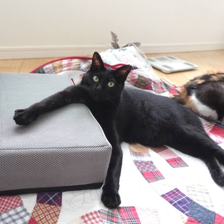 D2cab817 c8f7 48b5 becb 1d9f4b30974c 1556715641404