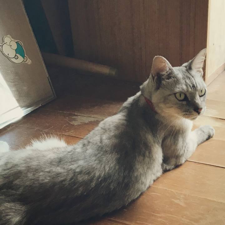 D2cabf18 e417 44c2 a303 5eeb1b7ff1b1 1534080078172