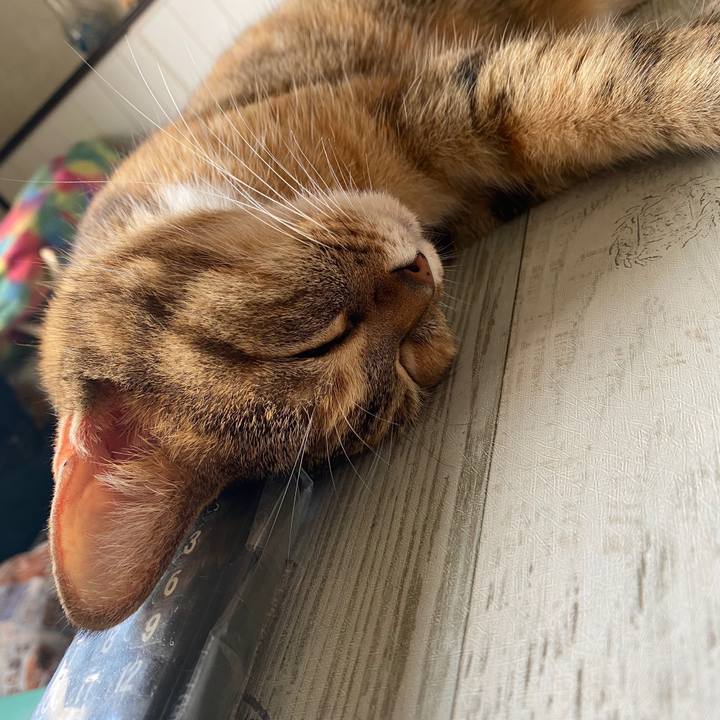 D2cac02d bd9f 4471 885f e05041cdb7f3 1595745506893