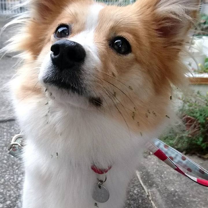 D2cb12e6 ecd8 400d 9f37 ff999060a132 1539776988208