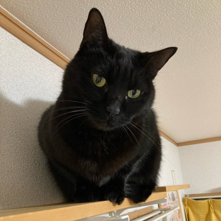 D2cb2424 2bb3 460e 9f25 601aa9623d2f 1774157737829