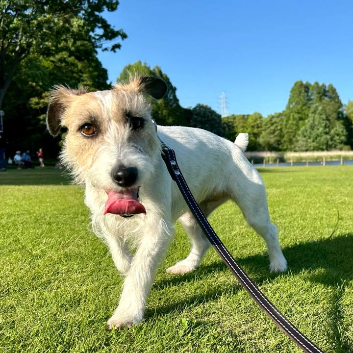 D2cb839a 74ef 4d20 b243 441e4eb25ab8 1715443028055