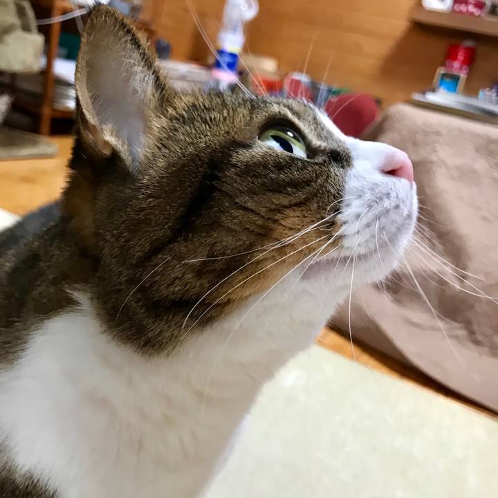 D2cbbca9 e0fc 4f9f aff9 5c994d142fca 1543623396123