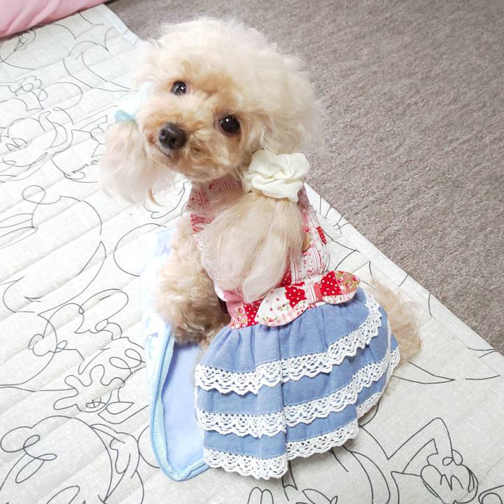 D2cbbd8a 6f90 4b8a bedd 3e18aa2811d9 1567428591471