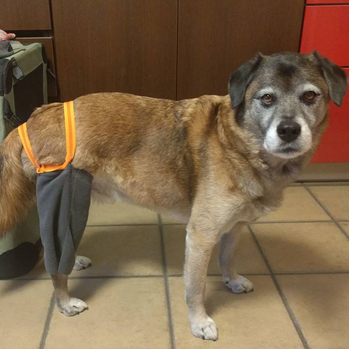 D2cc0110 d3ff 4d9c 9900 ccf26fa37d43 1516254221309