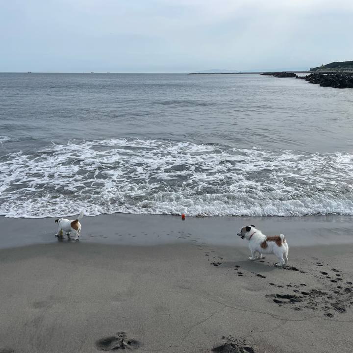 D2cc3b5f c91e 42c4 81ca 0c1f64c92adf 1749167496163