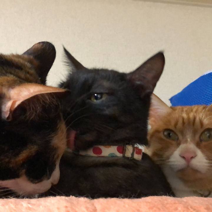 D2cc505b 9bfe 498d a6a0 c148b532b76b 1661041613662