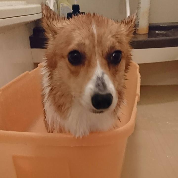 D2cc825f 1fdc 49bf 88ef adb03e1fa87f 1514116424399