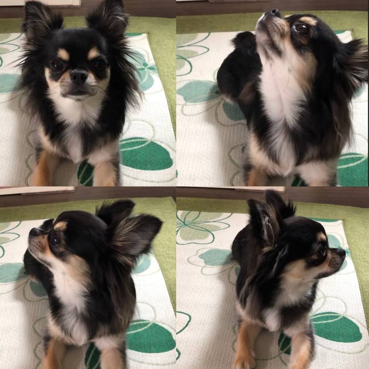 D2cc908b 9692 4580 a940 9686f3045b5e 1569399263467