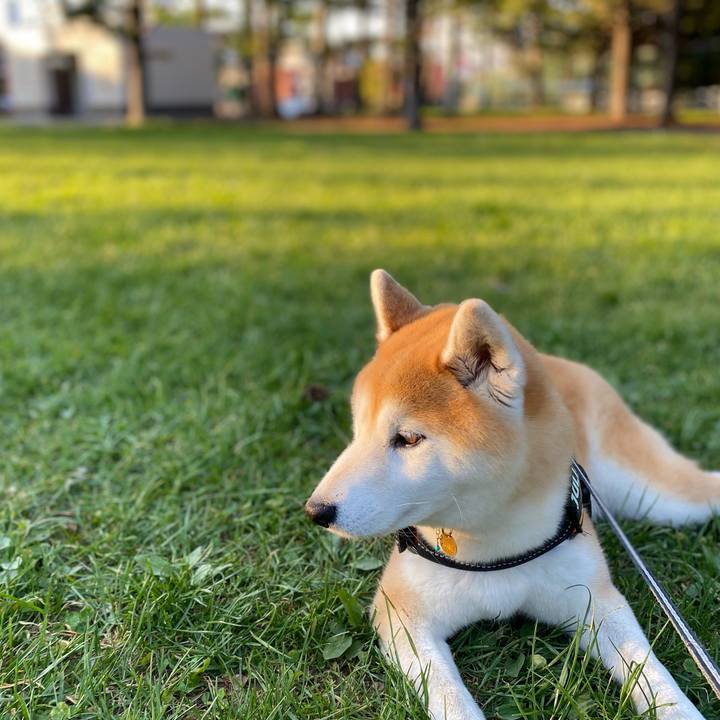 D2cca3fc 7ee5 47ca ab74 dd77e7278b07 1652188501649