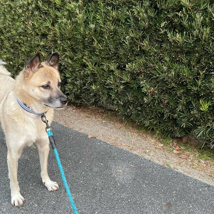 D2cca76f ebb5 4a0a a78a 2c9ade06b4a8 1700137270830