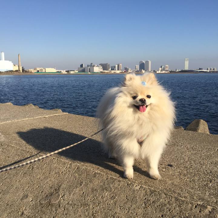 D2ccb3a0 97be 43fb 9424 931f6a278819 1550473100808