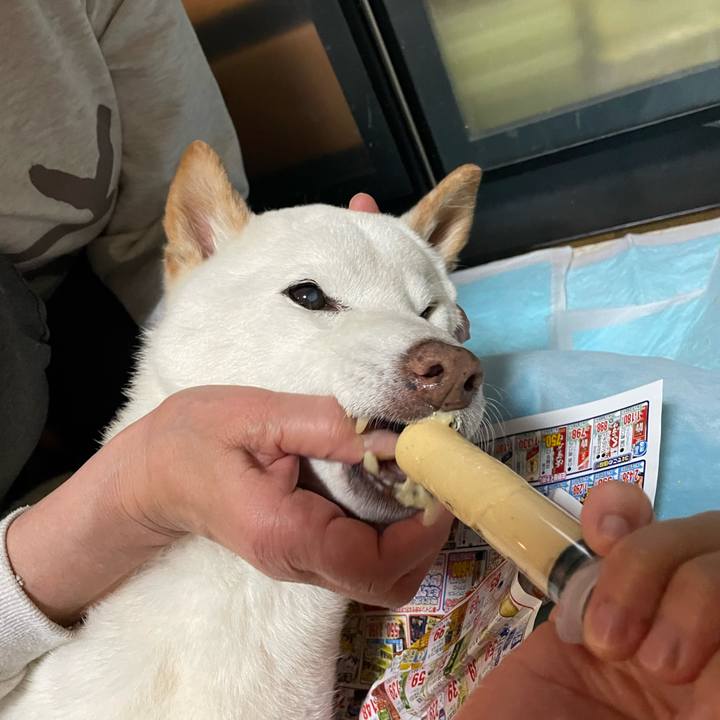 D2ccb573 9ab4 4710 84d8 dfd180c99276 1652195314753