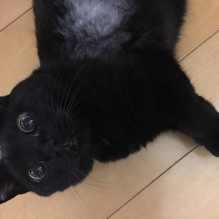 D2ccd108 539f 4d10 981b c5c339162cb3 1508503279708