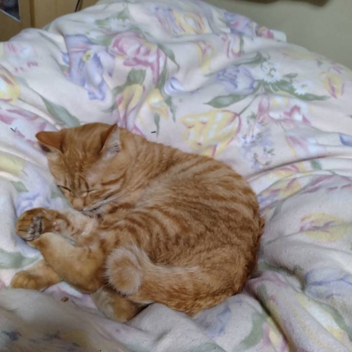 D2cd314e d1f0 4759 94ed fa9950b51e36 1669726049020