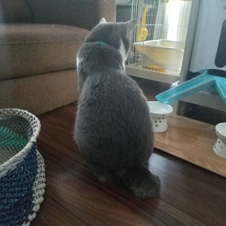 D2cd4d69 084a 4075 8b79 6a258c5a783a 1652652188279