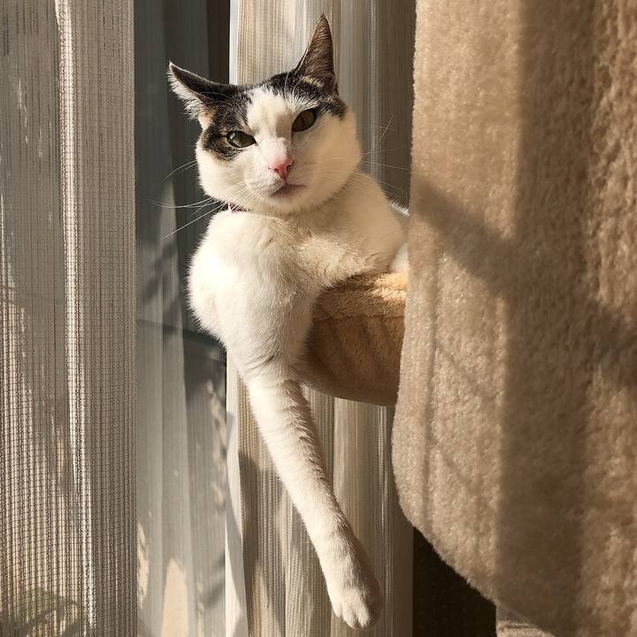 D2cd65ab a04c 463c 9af5 75bc58c798d3 1642060532206