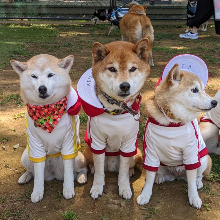 D2cda13a 6cf7 4b86 bbbf b02ec381040b 1715584305703