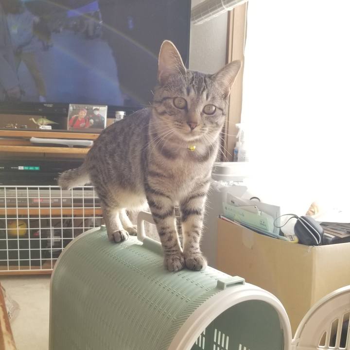 D2cdf7ad dbe0 4d51 9230 2f83fb0f1620 1675139412156