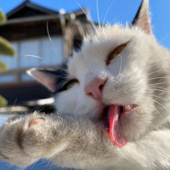 D2ce4b7f d600 4e02 8b1d efdf069ef15a 1641554292586