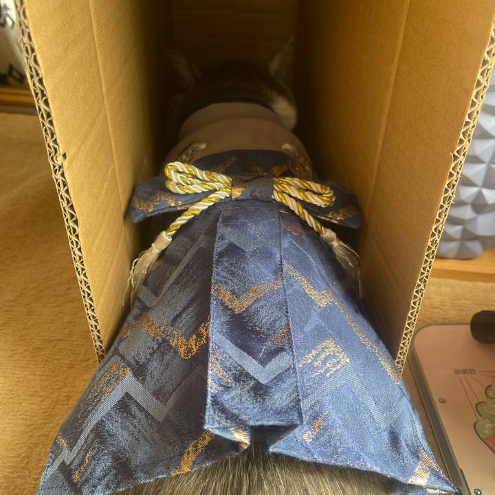 D2ce51be 0186 435d 85ae a61f39ab9ad1 1735696535073