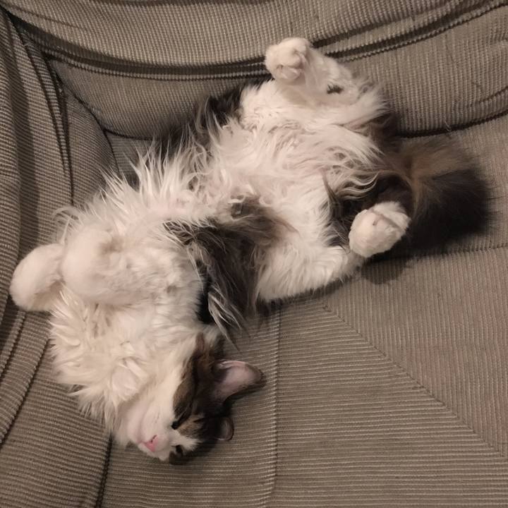 D2ce6f3f a527 49cc aede 0d4b6394cb13 1558779329835