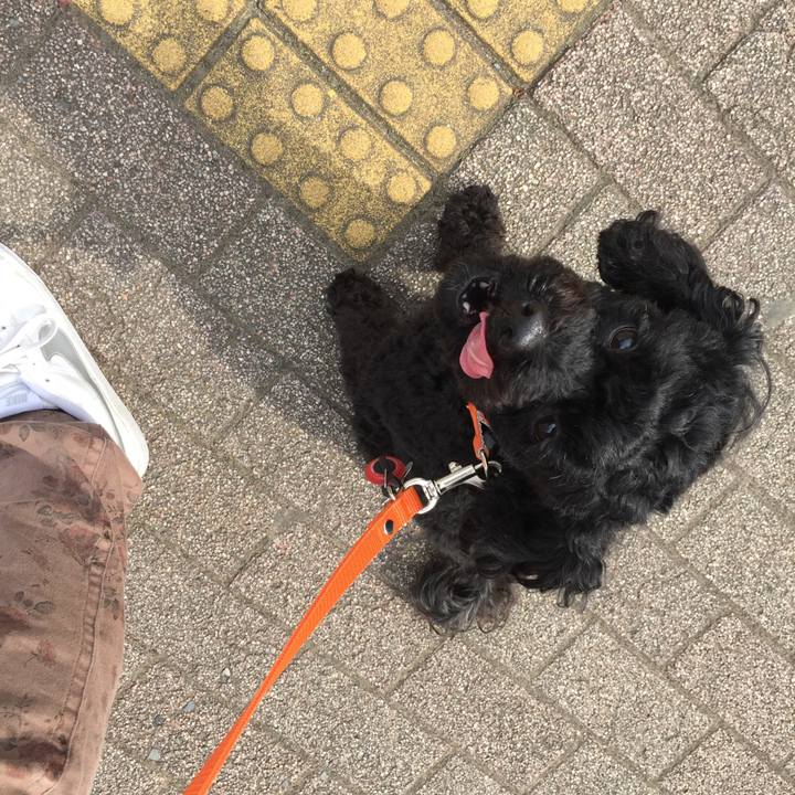 D2ce8f26 0a2b 49ce b6e1 cc70708db04a 1521351009529