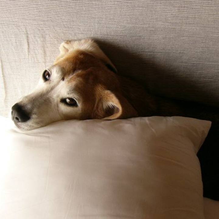 D2cec7c4 ca21 4e8b 896a 0945efcaa6b2 1656547098922