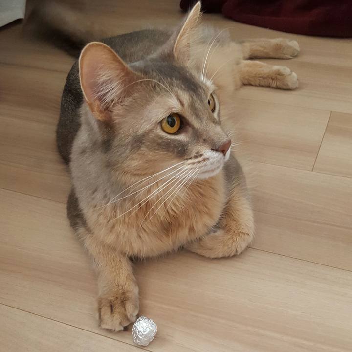 D2ced796 0522 4ad1 9abb 435e978ad597 1520063271372