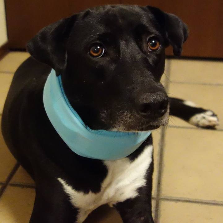 D2ced9db 401b 4549 aca4 8e4616e1fe18 1624879359524