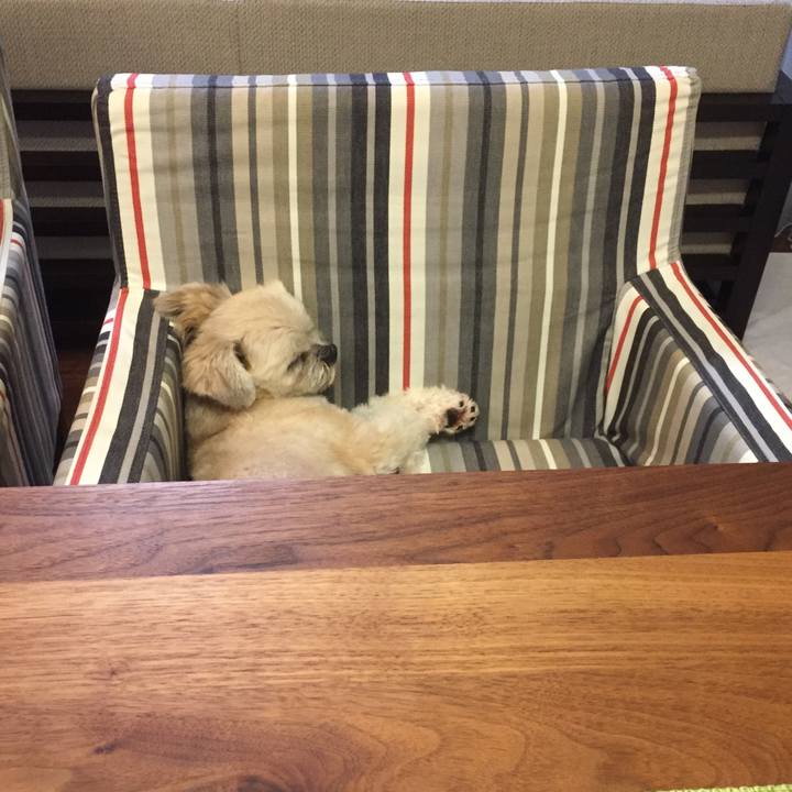 D2cedb09 78a2 42cf 8c36 4b993eeeef1a 1532780450751