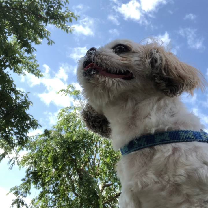 D2cf135b f1b9 425d 9356 39aad095a4ea 1528505136935