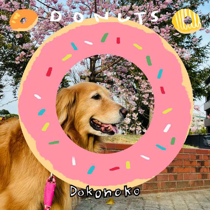 D2cf23b4 0db7 442d 995f e5ea18429d39 1744444579070