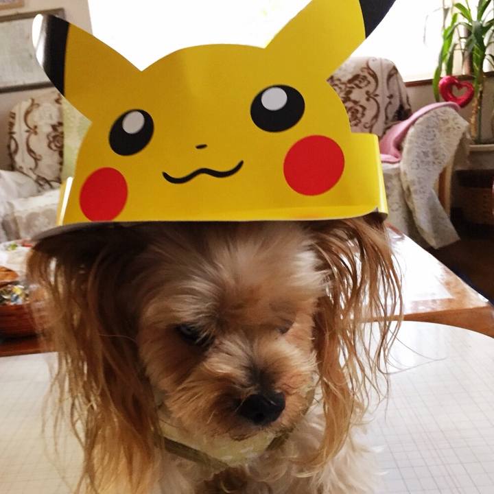 D2cf59a3 4eae 44ed 8d5f cfe0ebcad907 1534591364990