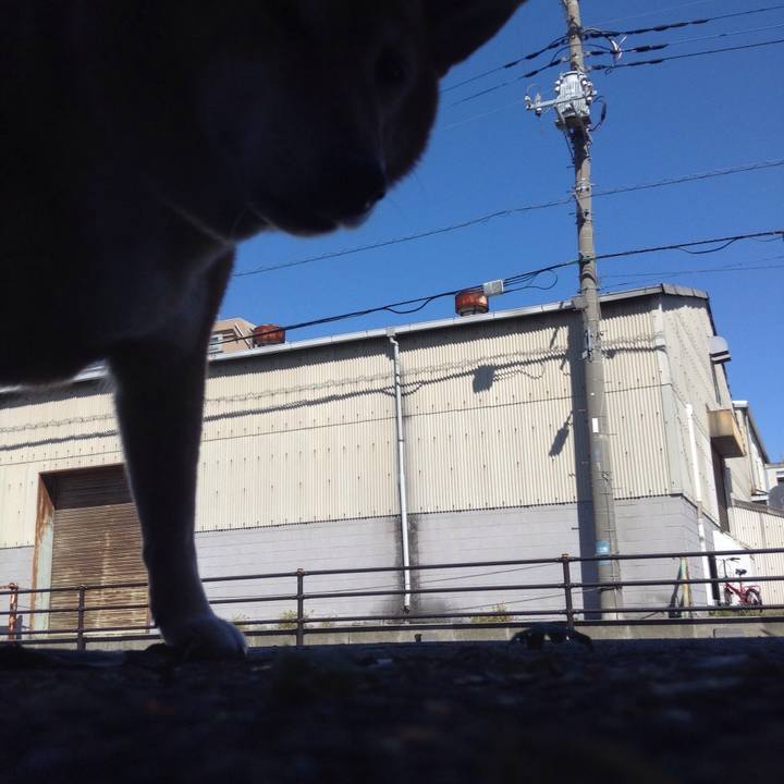 D2cfbce2 b648 4559 a683 b4b551ac029d 1538364833055