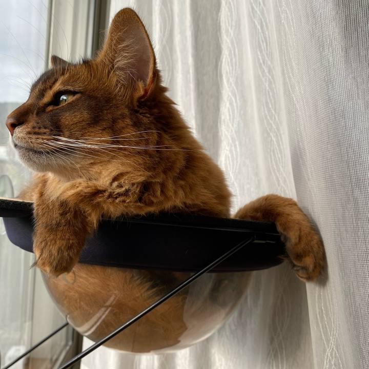 D2cffb33 1562 4d66 9276 4d2b55b5457e 1672187027791