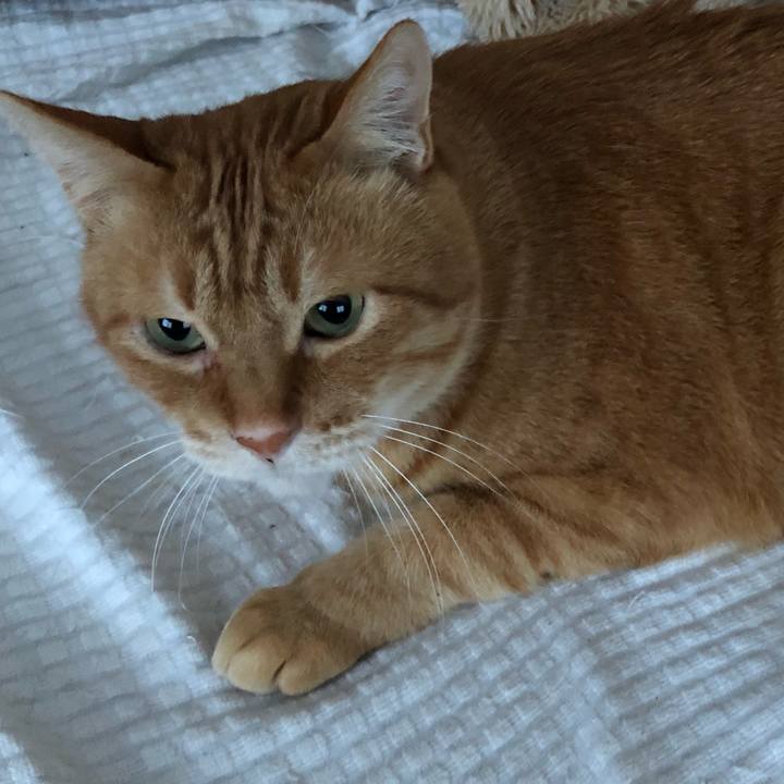 D2d0111e 1043 4133 a17a 0398922d232c 1642113679151