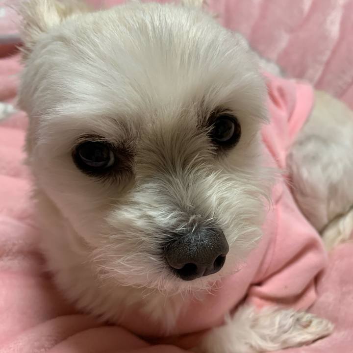 D2d0177f 531c 4afe bb1a cdff5d8d0bec 1580640358296